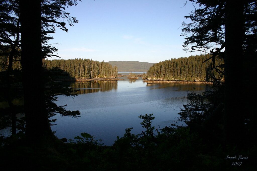Alaska Fishing Trip: A beautiful view of an oceanic inlet at Afognak Wilderness Lodge.
