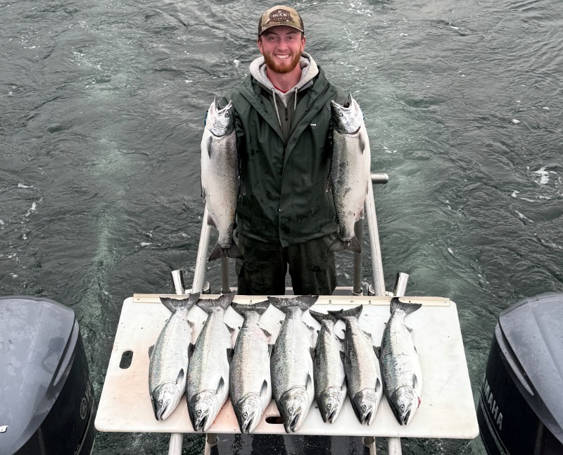 Fishing in Alaska in September: An avid angler smiles with while holding two large king salmon with several others in front of him.
